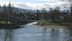 Archivo:Birsmündung in den Rhein