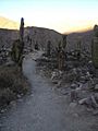 Camino del inca