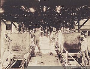 Archivo:Canchadores-oficina-solferino-1889