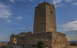 Archivo:Castell d'Alèdua