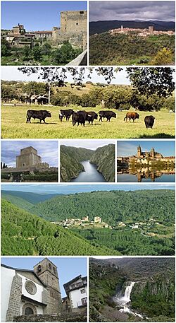 Collage provincia de Salamanca.jpg