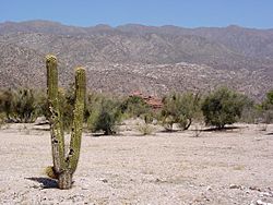 Archivo:Desert Scenery - La Rioja - Argentina 02