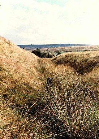 Ditch of Castleshaw Roman fort.jpg