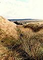 Ditch of Castleshaw Roman fort