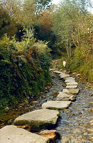 Archivo:El Camino de Santiago en Peruscallo (Sarria)
