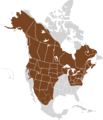 Erethizon dorsatum map