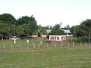 Archivo:Estacion Experimental de Cultivos Tropicales INTA Yuto - panoramio