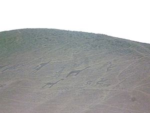 Archivo:Geoglifos de azapa