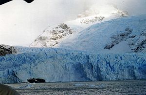Archivo:Glaciar Spegazzini