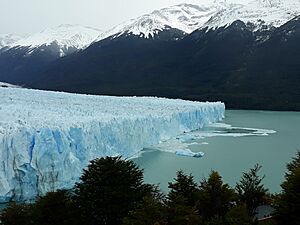 Archivo:Glaciarp.moreno