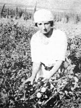 Archivo:Golda working in kibbutz Merhavia1