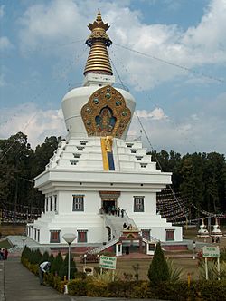 Great stupa in Mindroling.jpg