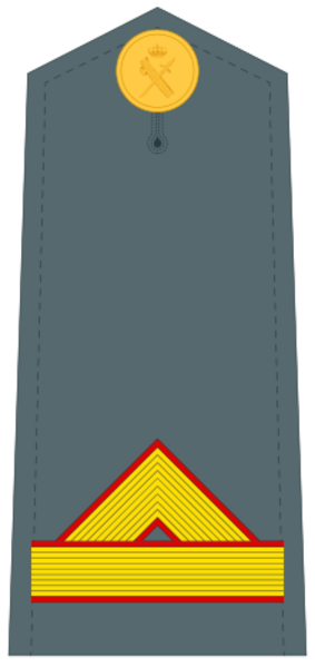 Guardiacivildivi27