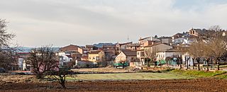 Henche, Guadalajara, España, 2017-01-03, DD 16.jpg