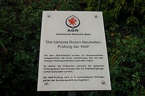 Archivo:Hinweisschild ADR Prüfung
