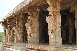 Horse and Yali pillars in a mantapa (hall) in Hampi