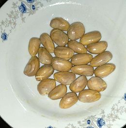 Archivo:Jackfruit seeds on a plate