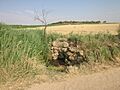 Las Pilillas