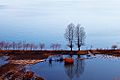 Lugu Lake marshy land