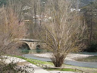 Merendero junto al río pasando Irotz - panoramio.jpg