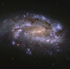 Archivo:NGC 1559