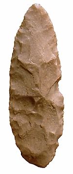 Archivo:Pieza foliácea africana