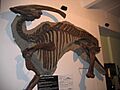 Pl dinozaur kaczodzioby
