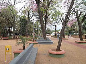 Archivo:Plaza y Peatonal en San Lorenzo