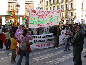 Archivo:Polisario in Madrid