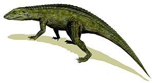 Archivo:Protosuchus BW
