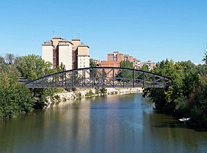 Puente colgante arco en compresión valladolid rio pisuerga.JPG