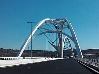 Puente de Abbas Ibn Firnas 001.jpg