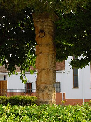 Archivo:Rolloperal