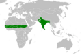 Rose ringed parakeet range