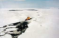 Ross Sea Heli.JPG