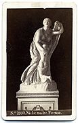 Sommer, Giorgio (1834-1914) - n. 2990 - Niobe madre - Firenze