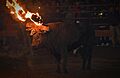 Toro de Jubilo con las bolas encendidas