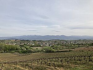 Archivo:Vistas desde el Alto de Ocedo