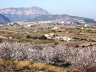 VtaTda05-04b.jpg