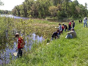 Archivo:Wetland Discovery (4901590996)