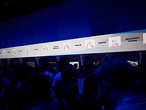 Archivo:Wii U Options shown at E3 2011