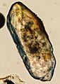 Zircon microscope