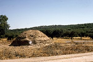 Archivo:Évora region-Fabrication de charbon de bois (1)-1967 08 05