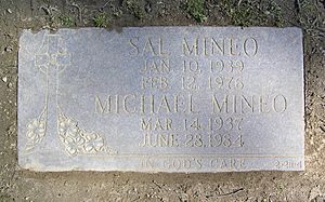 Archivo:1 Sal Mineo cr