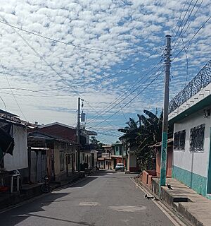Archivo:Barriosanjacinto