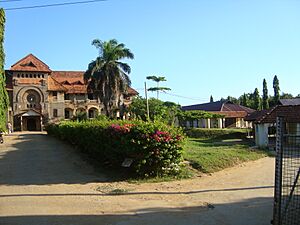 Archivo:Bombo HospitC
