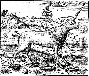 Archivo:Camphur thevet