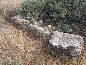 Archivo:Cerron de Dalias Almeria Spain