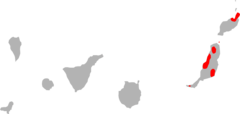 Distribución de Chalcides simonyi.