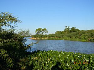 Archivo:El río Paraná, a su paso por el paraje natural "El Tonelero" en el partido de Ramallo, provincia de Buenos Aires, Argentina